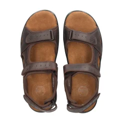 PANAMA JACK Sandalias de Hombre Salton Basics C1 MARRON